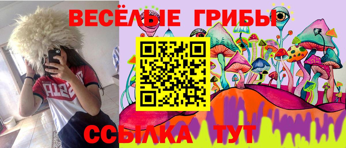 Ржев  Галлюциногенные грибы GOLDEN TEACHER  Вход с VPN 