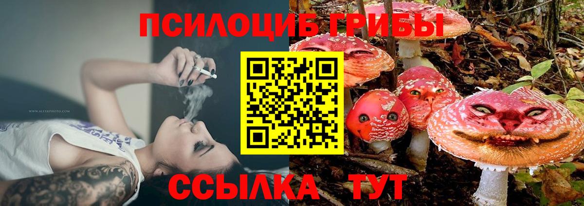 Псилоцибиновые грибы Psilocybine cubensis Ржев
